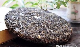 普洱网红爆料是谁啊视频,是谁在视频里掀起热议？