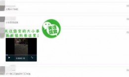 网络上爆料视频在哪看啊,一网打尽热门爆料内容